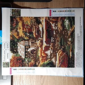Scenery Diamond Painting (COMPLETED)(H46)
